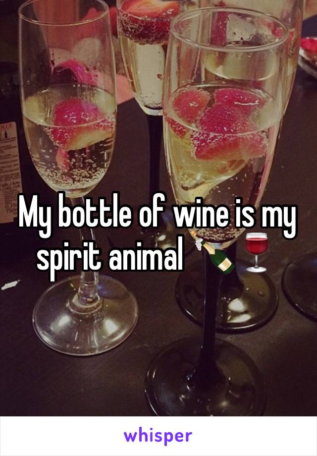 My bottle of wine is my spirit animal 🍾🍷