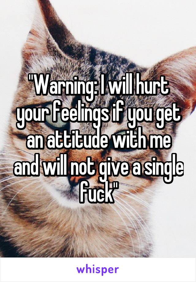 "Warning: I will hurt your feelings if you get an attitude with me and will not give a single fuck"