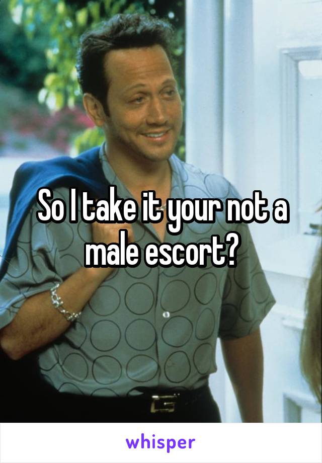 So I take it your not a male escort?