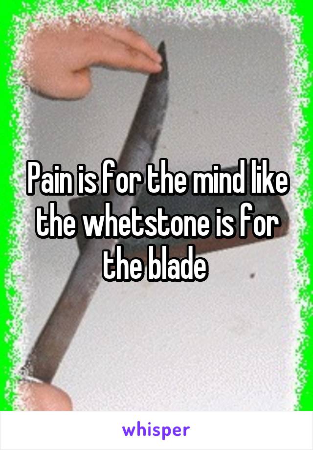 Pain is for the mind like the whetstone is for the blade 