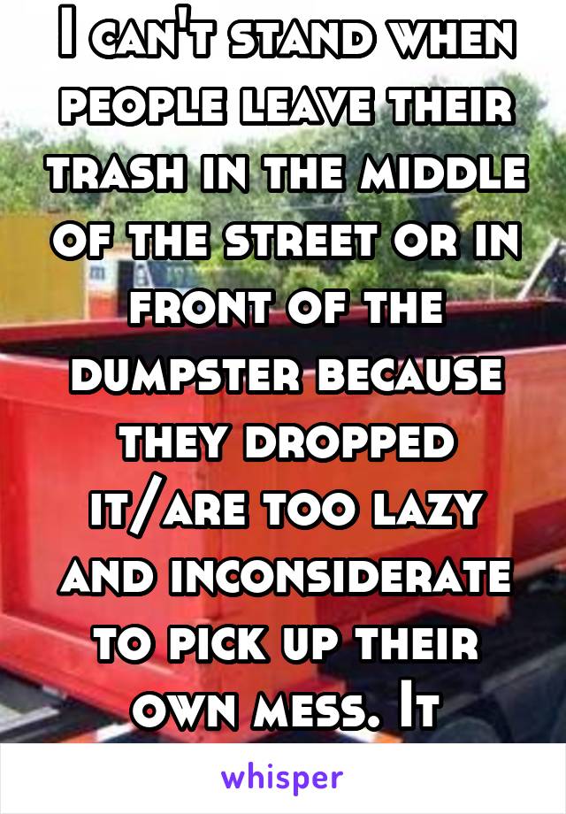 I can't stand when people leave their trash in the middle of the street or in front of the dumpster because they dropped it/are too lazy and inconsiderate to pick up their own mess. It infuriates me!