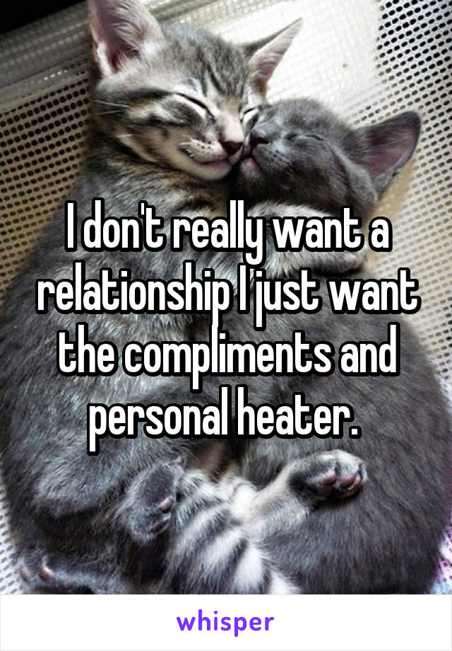 I don't really want a relationship I just want the compliments and personal heater. 