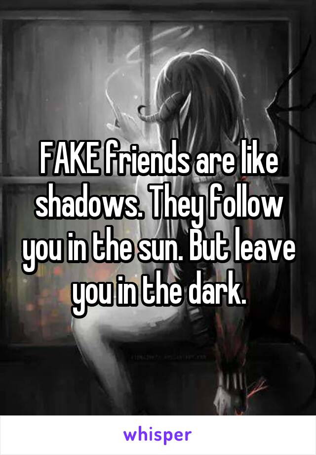 FAKE friends are like shadows. They follow you in the sun. But leave you in the dark.