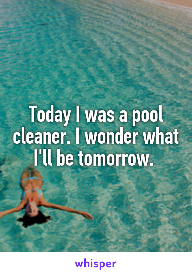 Today I was a pool cleaner. I wonder what I'll be tomorrow. 