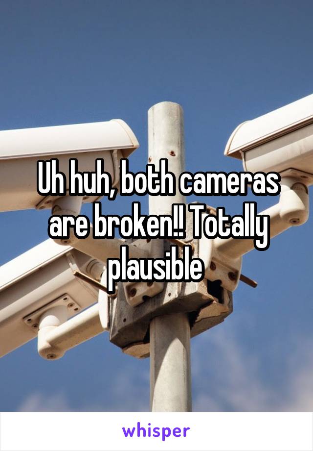 Uh huh, both cameras are broken!! Totally plausible 