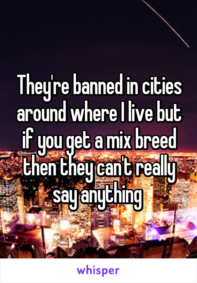 They're banned in cities around where I live but if you get a mix breed then they can't really say anything 