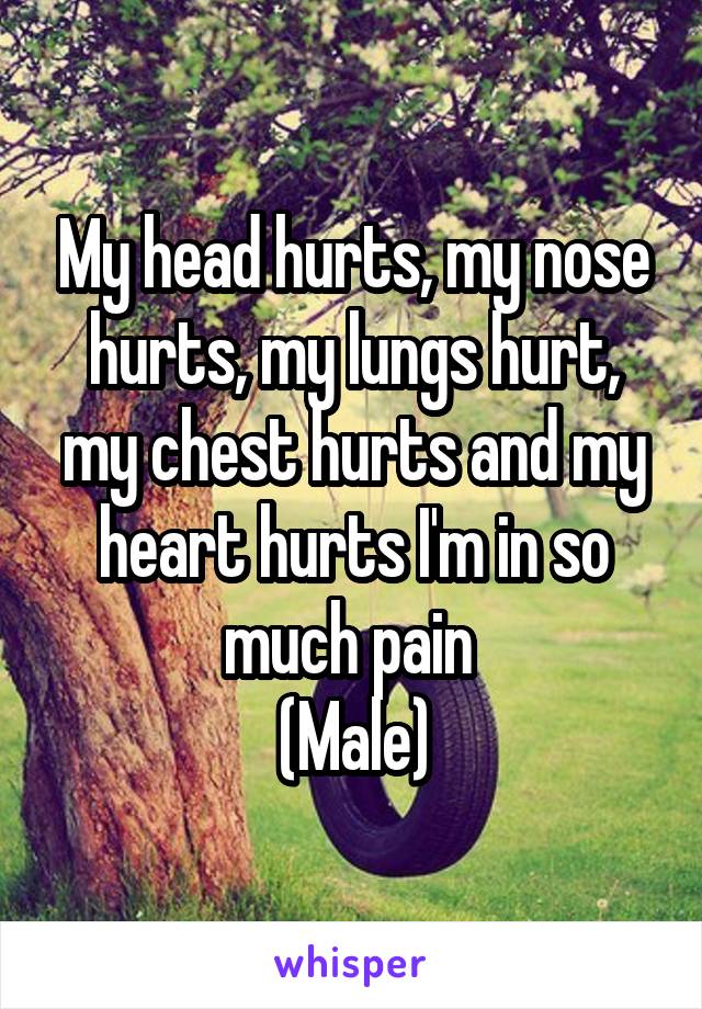 My head hurts, my nose hurts, my lungs hurt, my chest hurts and my heart hurts I'm in so much pain 
(Male)