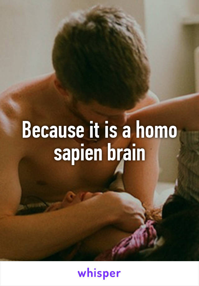 Because it is a homo sapien brain