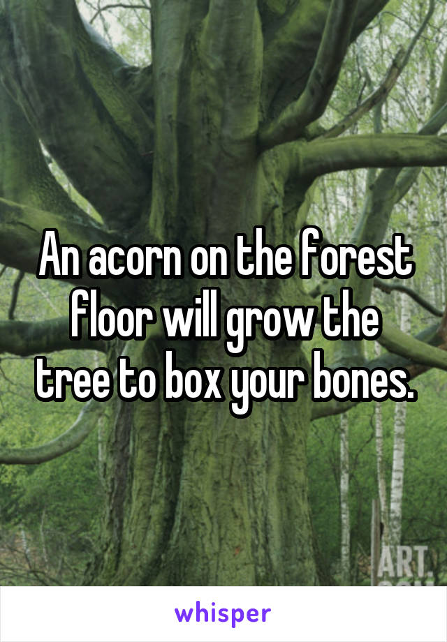 An acorn on the forest floor will grow the tree to box your bones.