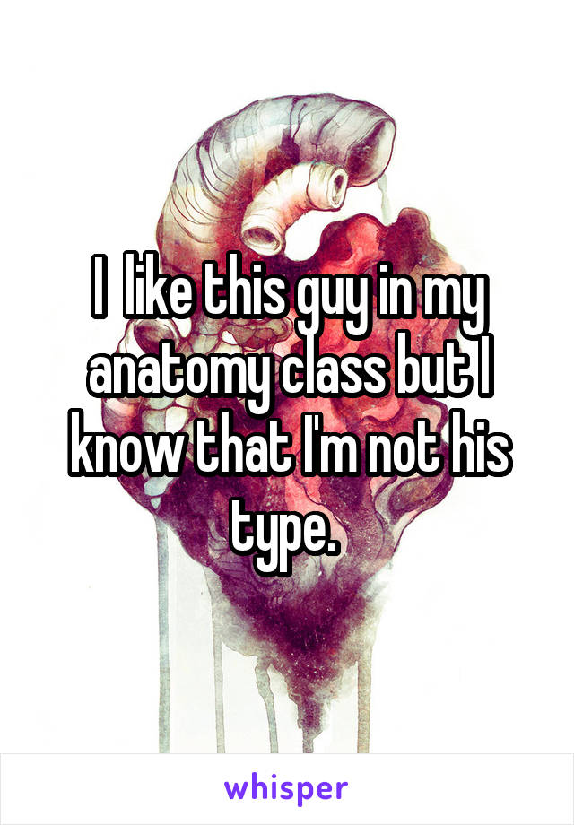 I  like this guy in my anatomy class but I know that I'm not his type. 