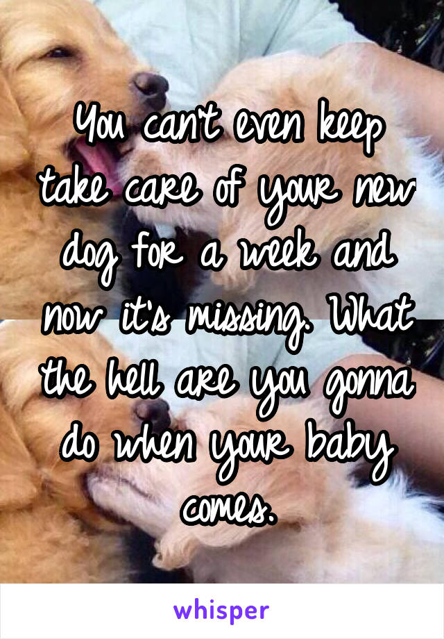 You can't even keep take care of your new dog for a week and now it's missing. What the hell are you gonna do when your baby comes.