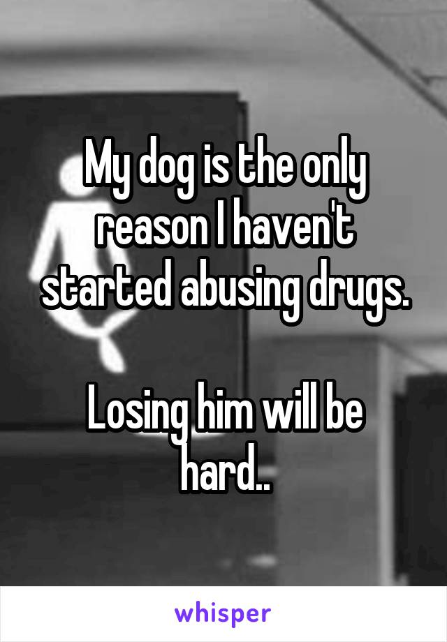 My dog is the only reason I haven't started abusing drugs.

Losing him will be hard..