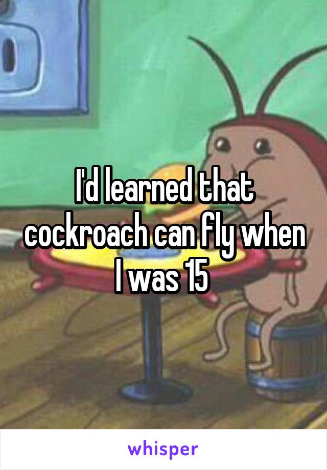 I'd learned that cockroach can fly when I was 15 