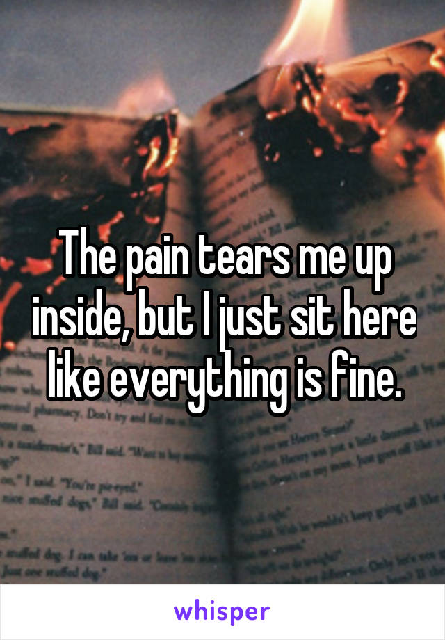 The pain tears me up inside, but I just sit here like everything is fine.