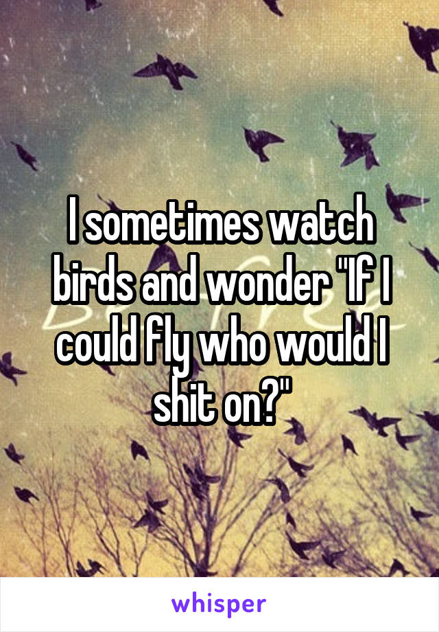 I sometimes watch birds and wonder "If I could fly who would I shit on?"