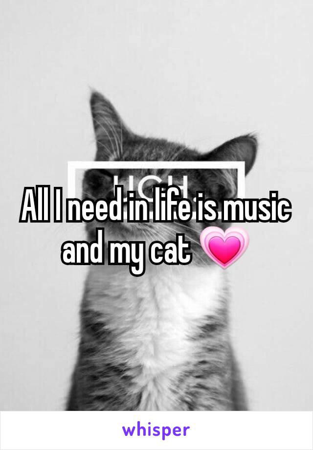 All I need in life is music and my cat 💗