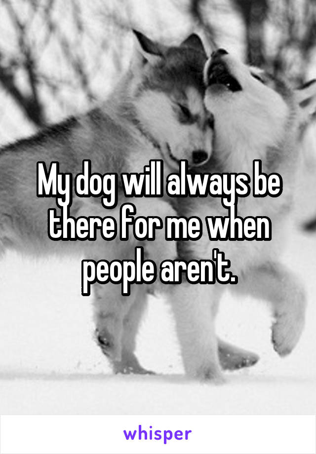 My dog will always be there for me when people aren't.