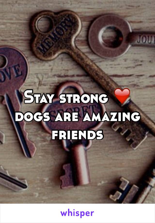 Stay strong ❤️ dogs are amazing friends