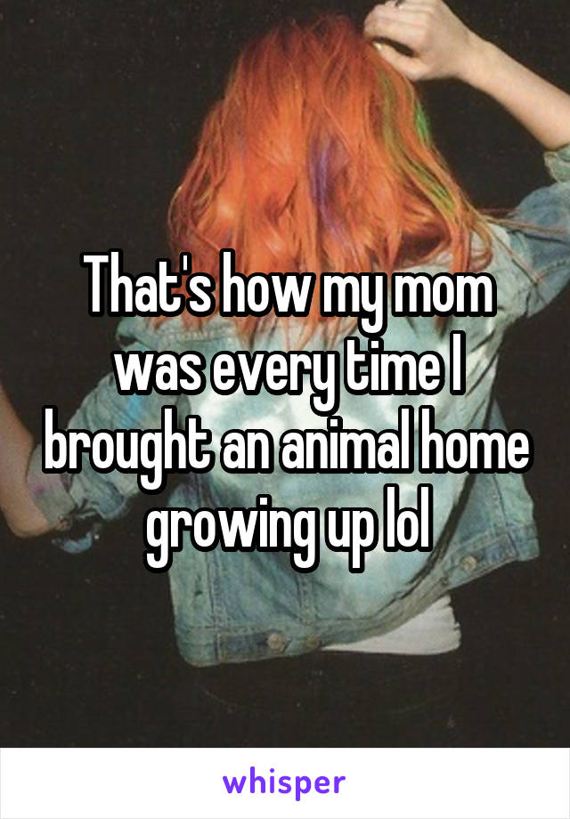 That's how my mom was every time I brought an animal home growing up lol