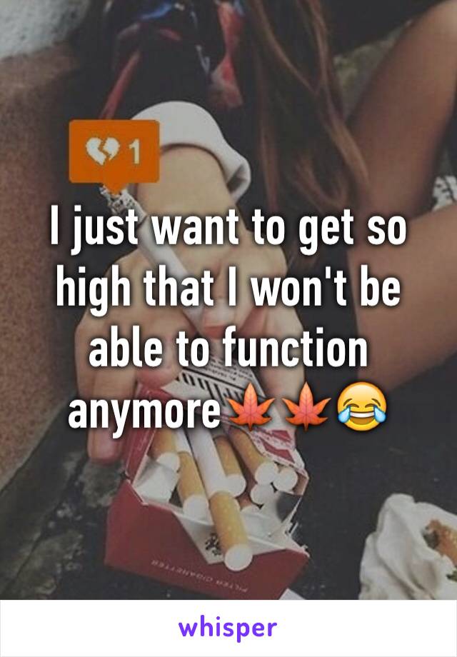 I just want to get so high that I won't be able to function anymore🍁🍁😂