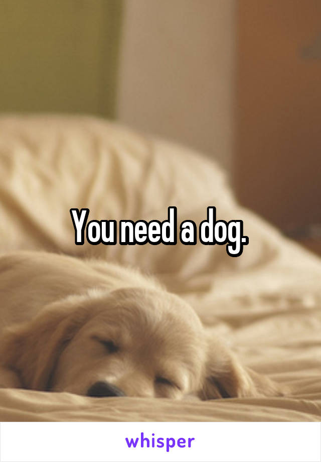 You need a dog. 