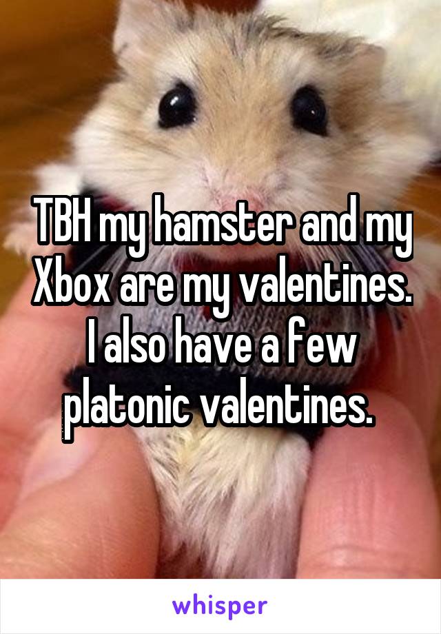 TBH my hamster and my Xbox are my valentines. I also have a few platonic valentines. 