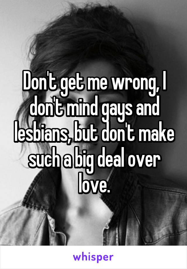 Don't get me wrong, I don't mind gays and lesbians, but don't make such a big deal over love.