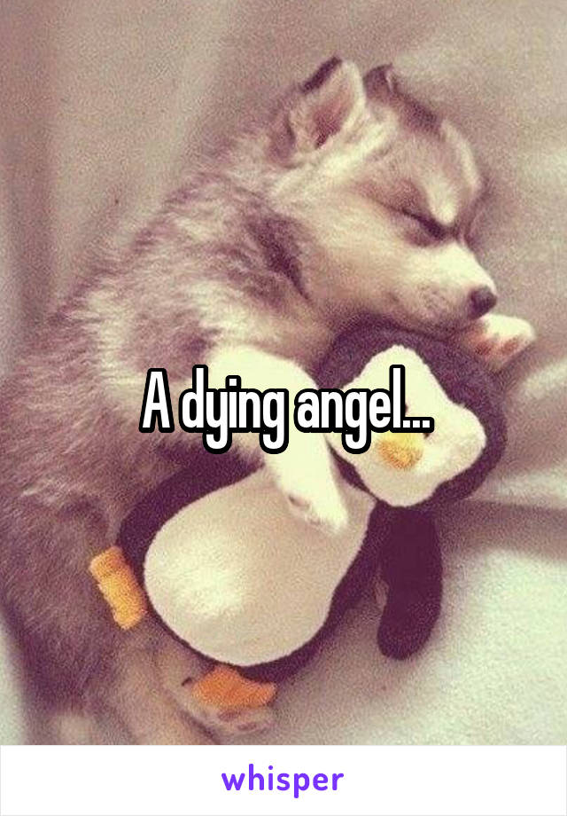 A dying angel...