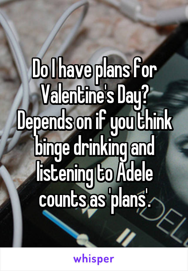 Do I have plans for Valentine's Day? Depends on if you think binge drinking and listening to Adele counts as 'plans'.