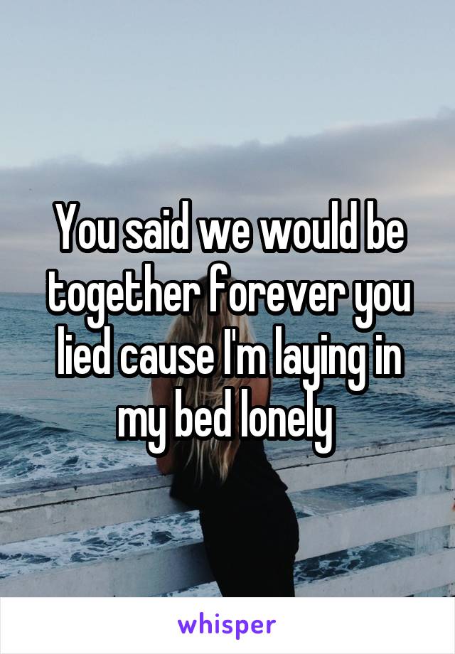 You said we would be together forever you lied cause I'm laying in my bed lonely 