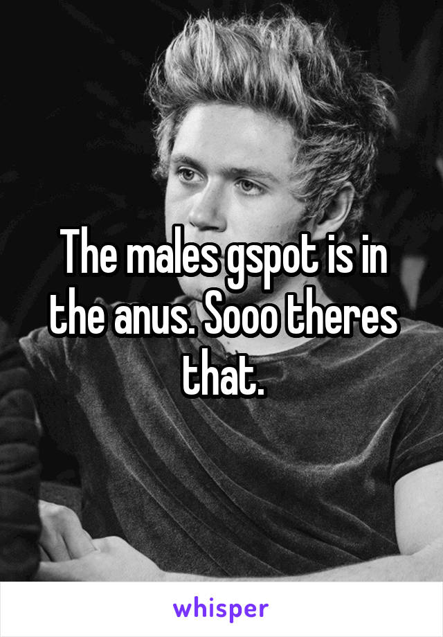 The males gspot is in the anus. Sooo theres that.