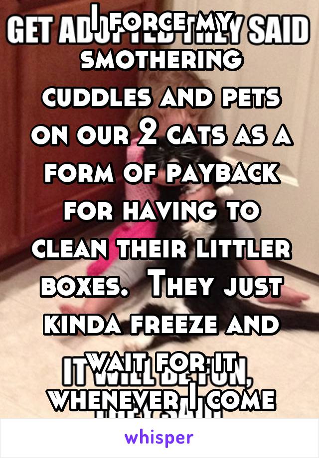 I force my smothering cuddles and pets on our 2 cats as a form of payback for having to clean their littler boxes.  They just kinda freeze and wait for it whenever I come near. 