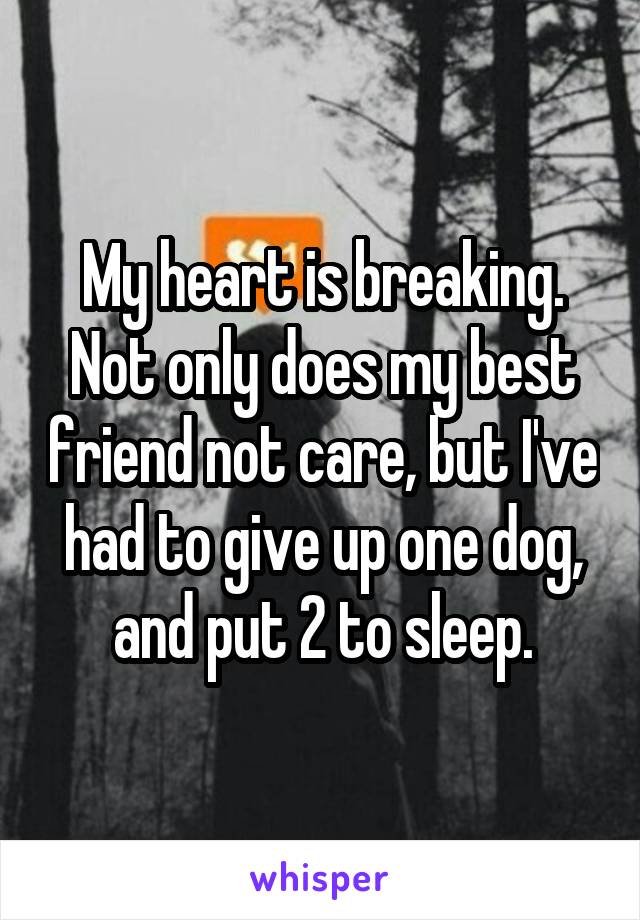 My heart is breaking. Not only does my best friend not care, but I've had to give up one dog, and put 2 to sleep.