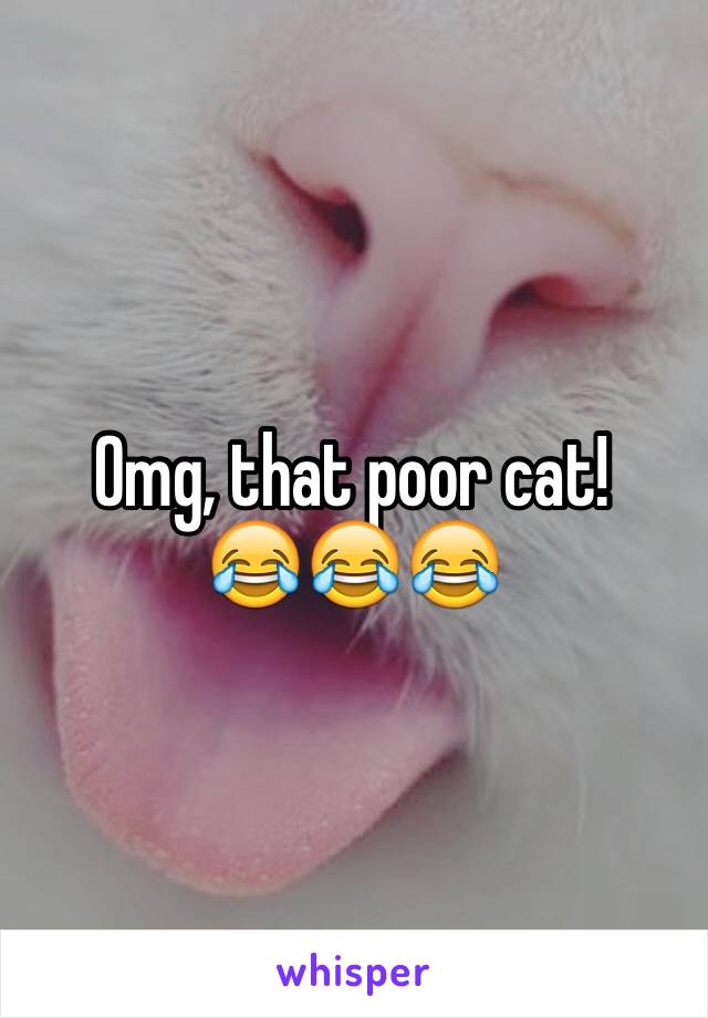 Omg, that poor cat! 
😂😂😂