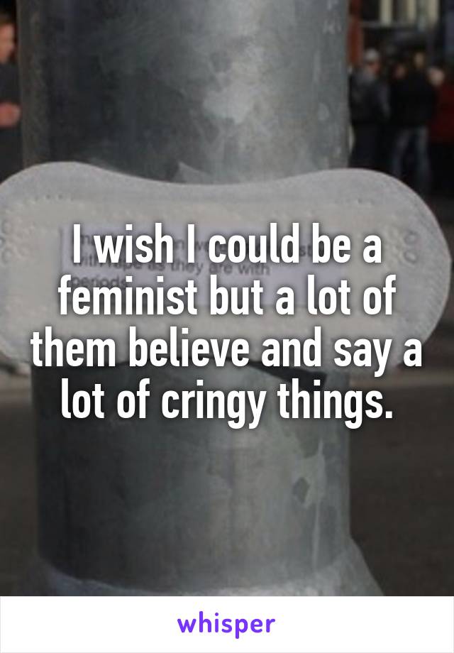 I wish I could be a feminist but a lot of them believe and say a lot of cringy things.