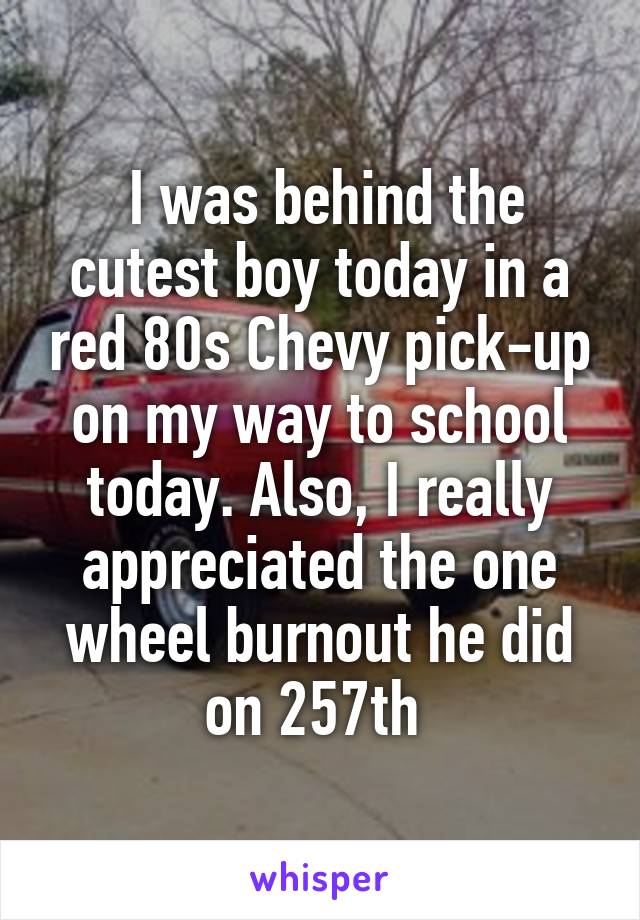  I was behind the cutest boy today in a red 80s Chevy pick-up on my way to school today. Also, I really appreciated the one wheel burnout he did on 257th 