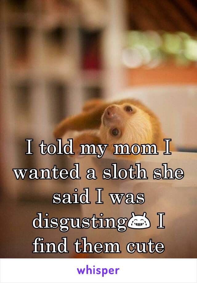 I told my mom I wanted a sloth she said I was disgusting😂 I find them cute