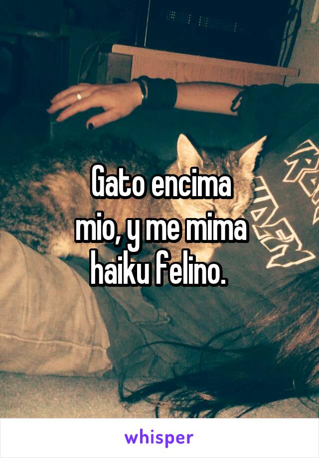 Gato encima
mio, y me mima
haiku felino. 