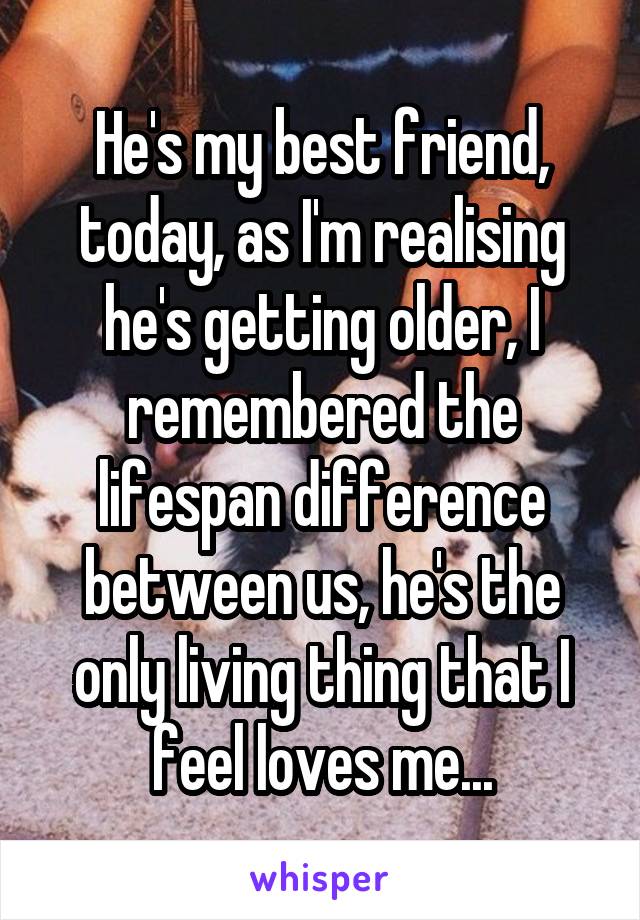 He's my best friend, today, as I'm realising he's getting older, I remembered the lifespan difference between us, he's the only living thing that I feel loves me...