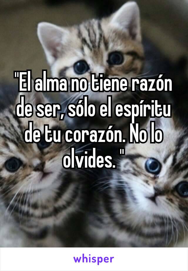 "El alma no tiene razón de ser, sólo el espíritu de tu corazón. No lo olvides. "