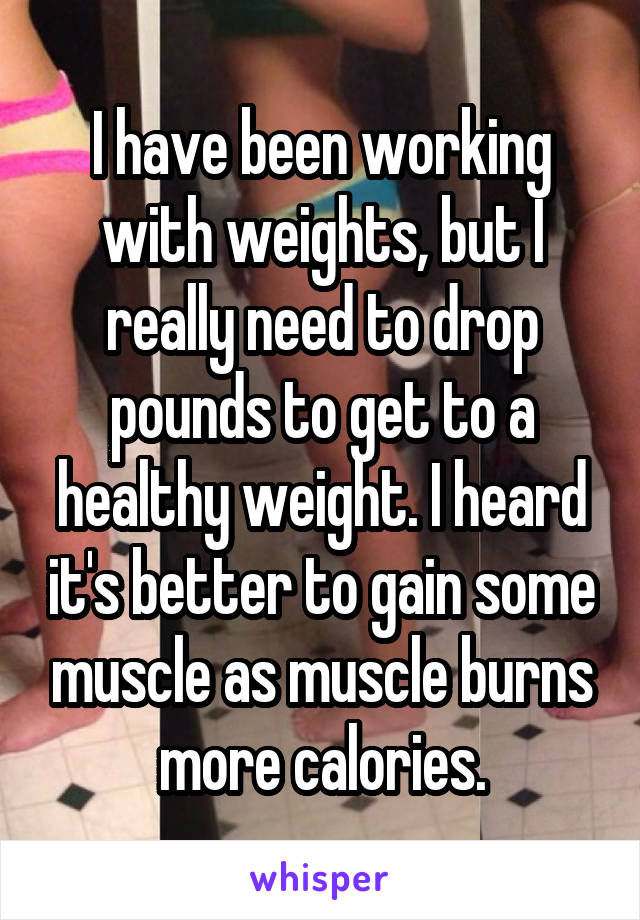 I have been working with weights, but I really need to drop pounds to get to a healthy weight. I heard it's better to gain some muscle as muscle burns more calories.