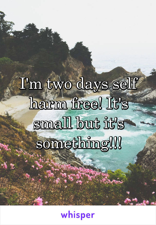 I'm two days self harm free! It's small but it's something!!!