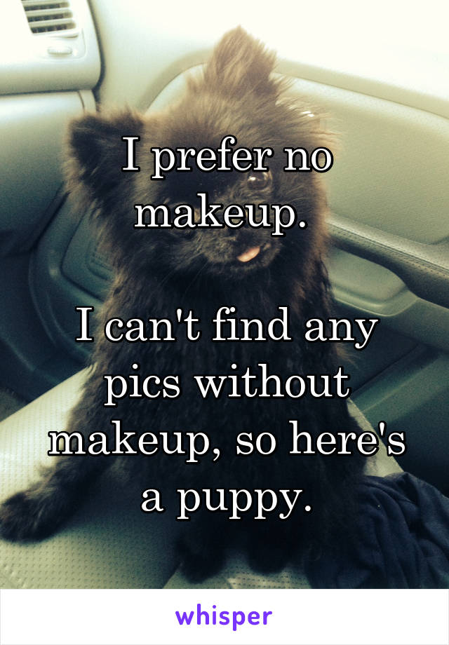 I prefer no makeup. 

I can't find any pics without makeup, so here's a puppy.