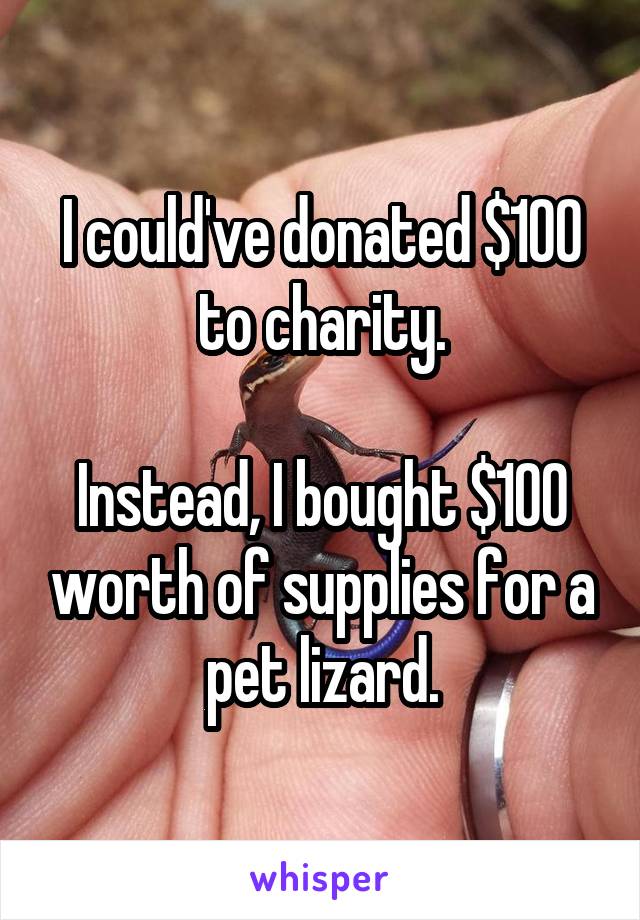 I could've donated $100 to charity.

Instead, I bought $100 worth of supplies for a pet lizard.