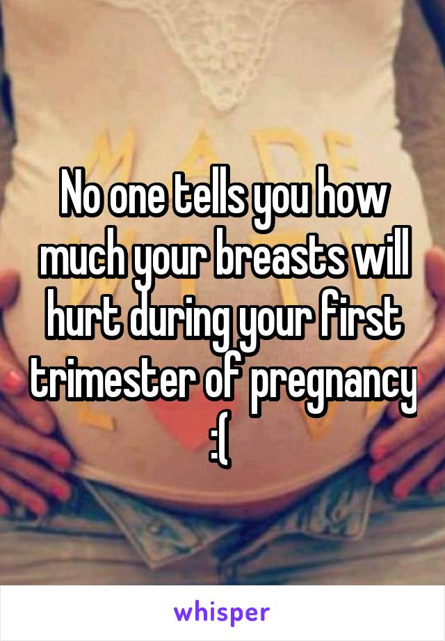 No one tells you how much your breasts will hurt during your first trimester of pregnancy :( 
