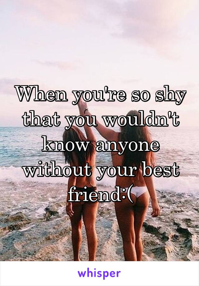 When you're so shy that you wouldn't know anyone without your best friend:(