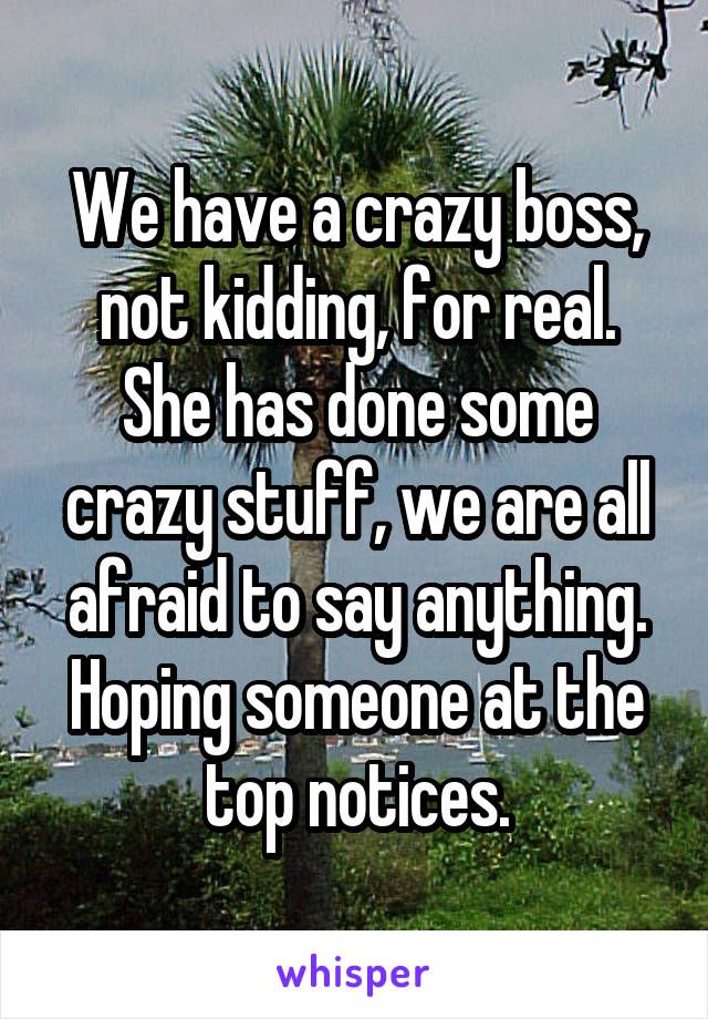 We have a crazy boss, not kidding, for real. She has done some crazy stuff, we are all afraid to say anything. Hoping someone at the top notices.