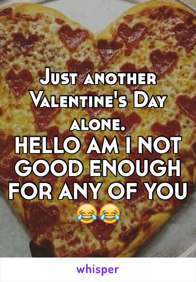 Just another Valentine's Day alone.             HELLO AM I NOT GOOD ENOUGH FOR ANY OF YOU ðŸ˜‚ðŸ˜‚