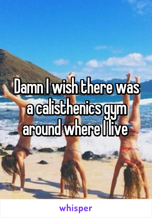 Damn I wish there was a calisthenics gym around where I live 