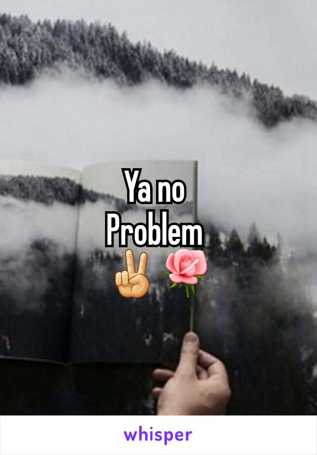 Ya no 
Problem 
✌🌹